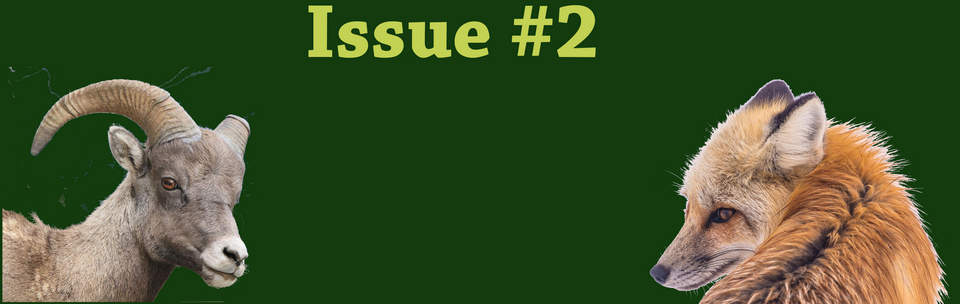 Issue_2_animals_2