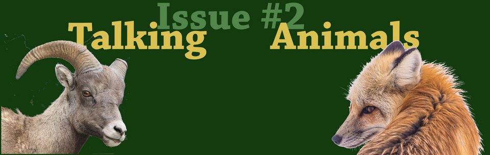 Issue_2_animals_3